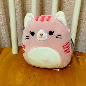 Paulita the Pink Cat Squishmallow